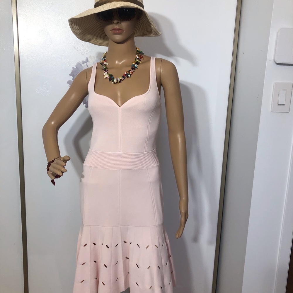 Ted Baker Blush Pink Midi Dress
